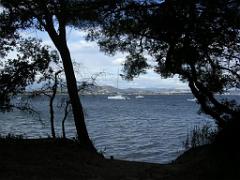 183 D18 PRESQU ILE DE GIENS 1_000029